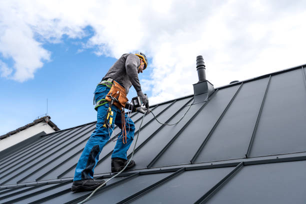 Best Sheet Metal Roofing  in San Rlos, CA